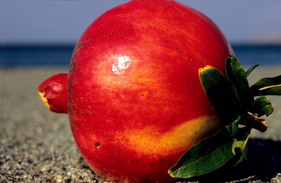 Granatapfel, Griechenland 2005.